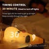 Cute Cartoon Capybara Silicone Night Light