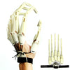 Spine-Chilling Articulated Skeleton Finger Gloves