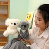 Lovely Australia Koala Plush Toy: Furry, Soft, and Huggable!