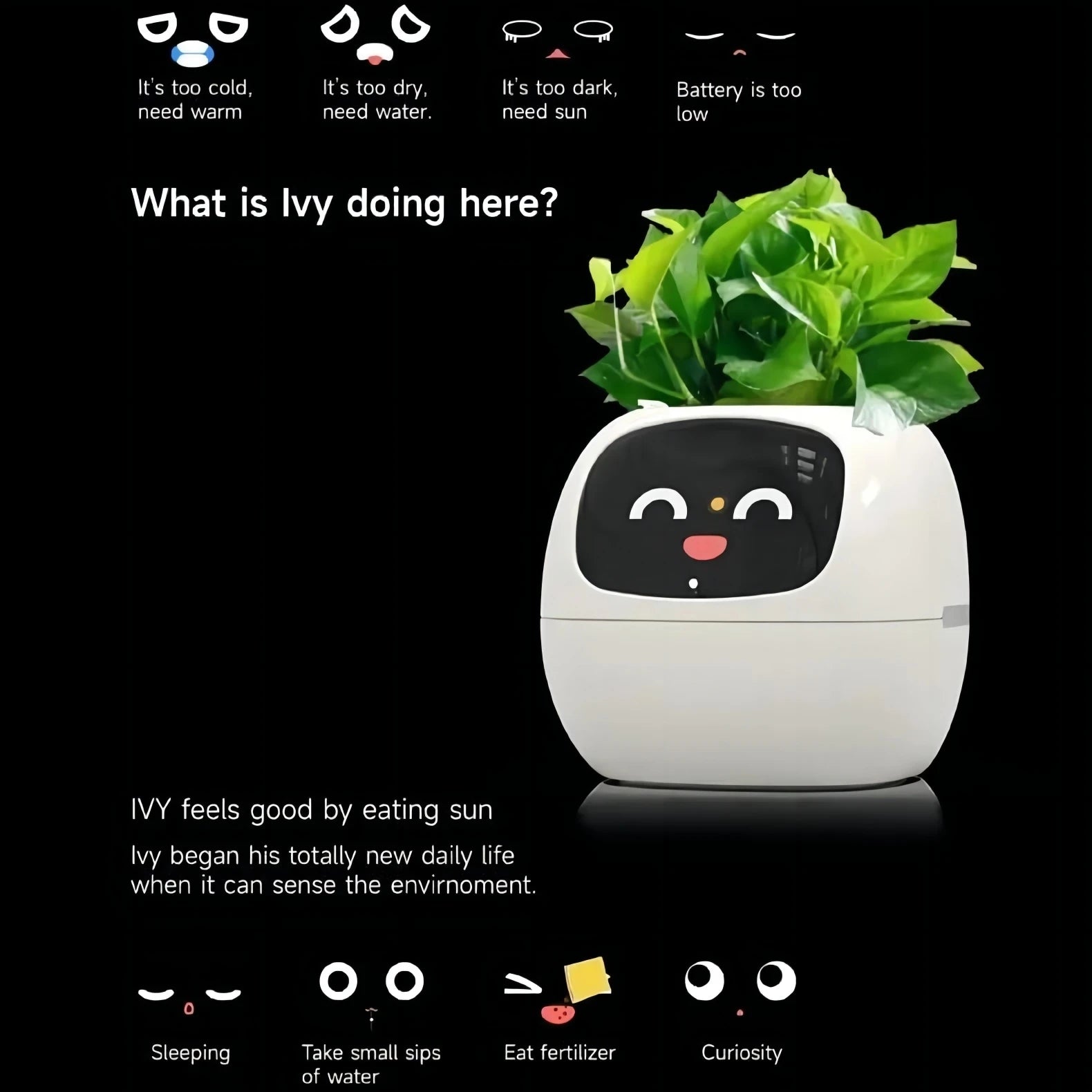 IVYBot: Smart Planter with AI