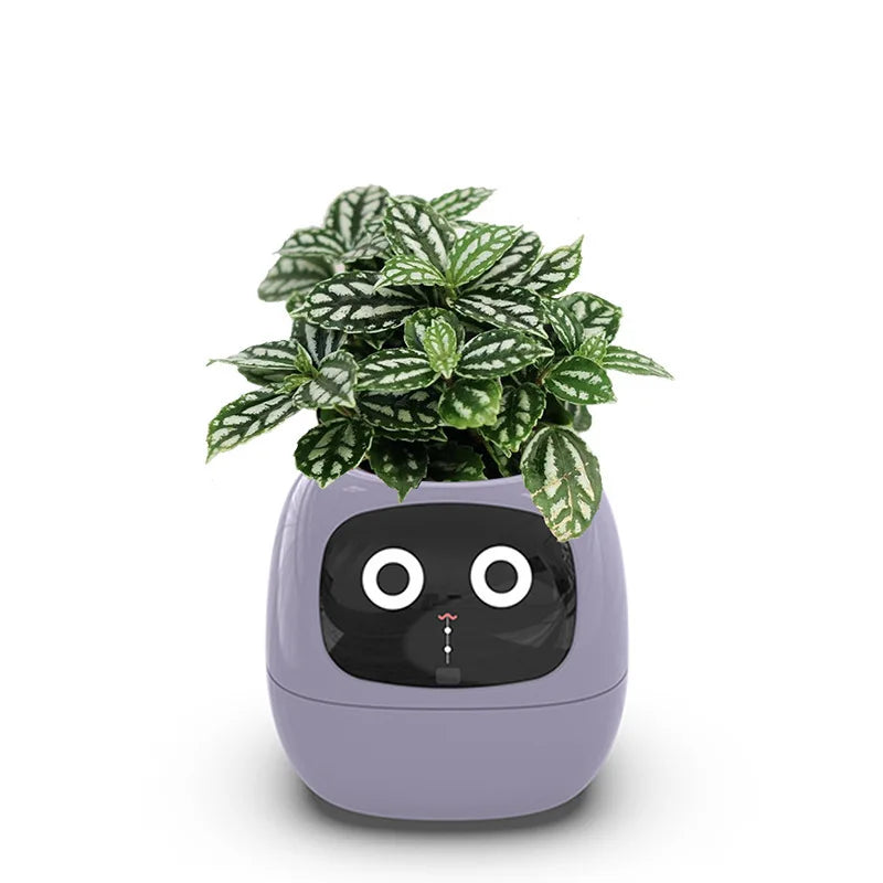 IVYBot: Smart Planter with AI