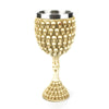DarkFang Gothic Wine Goblet