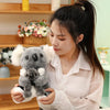 Lovely Australia Koala Plush Toy: Furry, Soft, and Huggable!