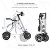 350W Lightweight Folding Electric Scooter – Parent & Child Three-Wheeled Ride