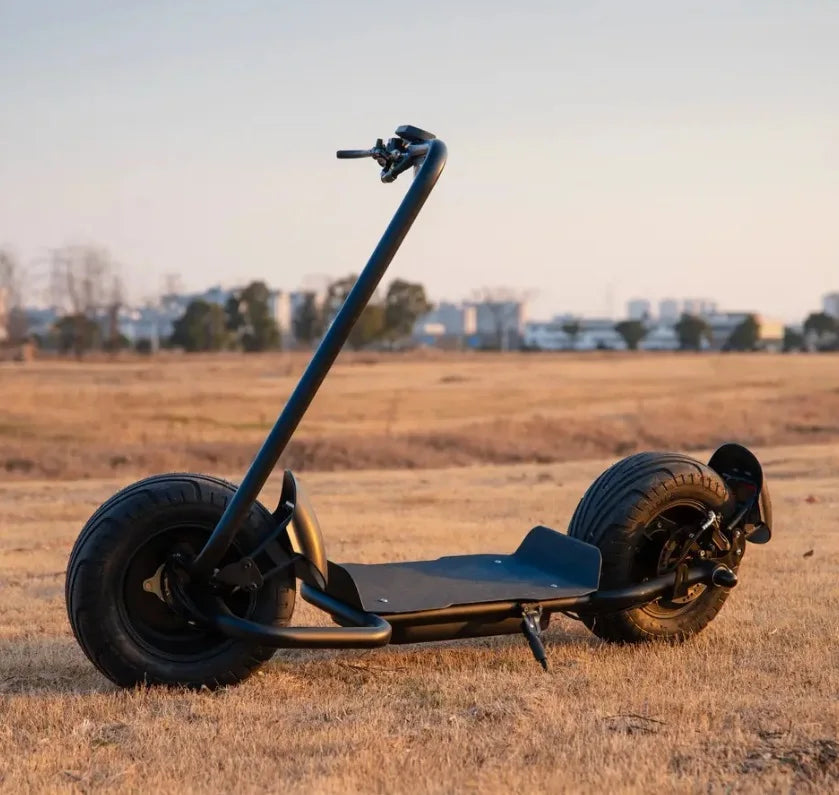 Big Two Wheels Fat Tyre Citycoco 2000W 60V20A Max Disc Brake Electric Scooter