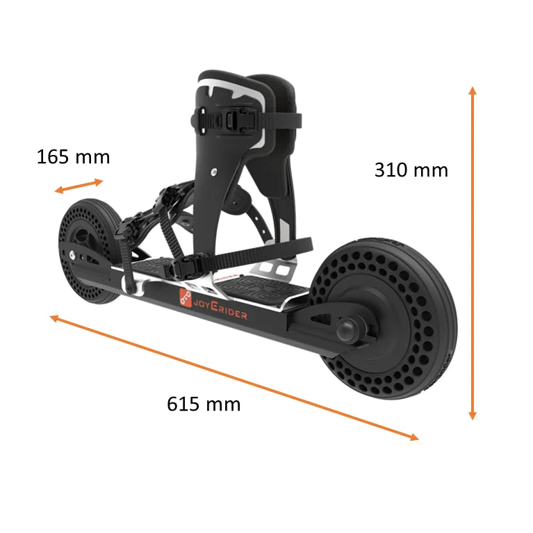 Electric Skateboard Surf Board Skating Shoe: Professional Roller Skates