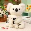 Lovely Australia Koala Plush Toy: Furry, Soft, and Huggable!