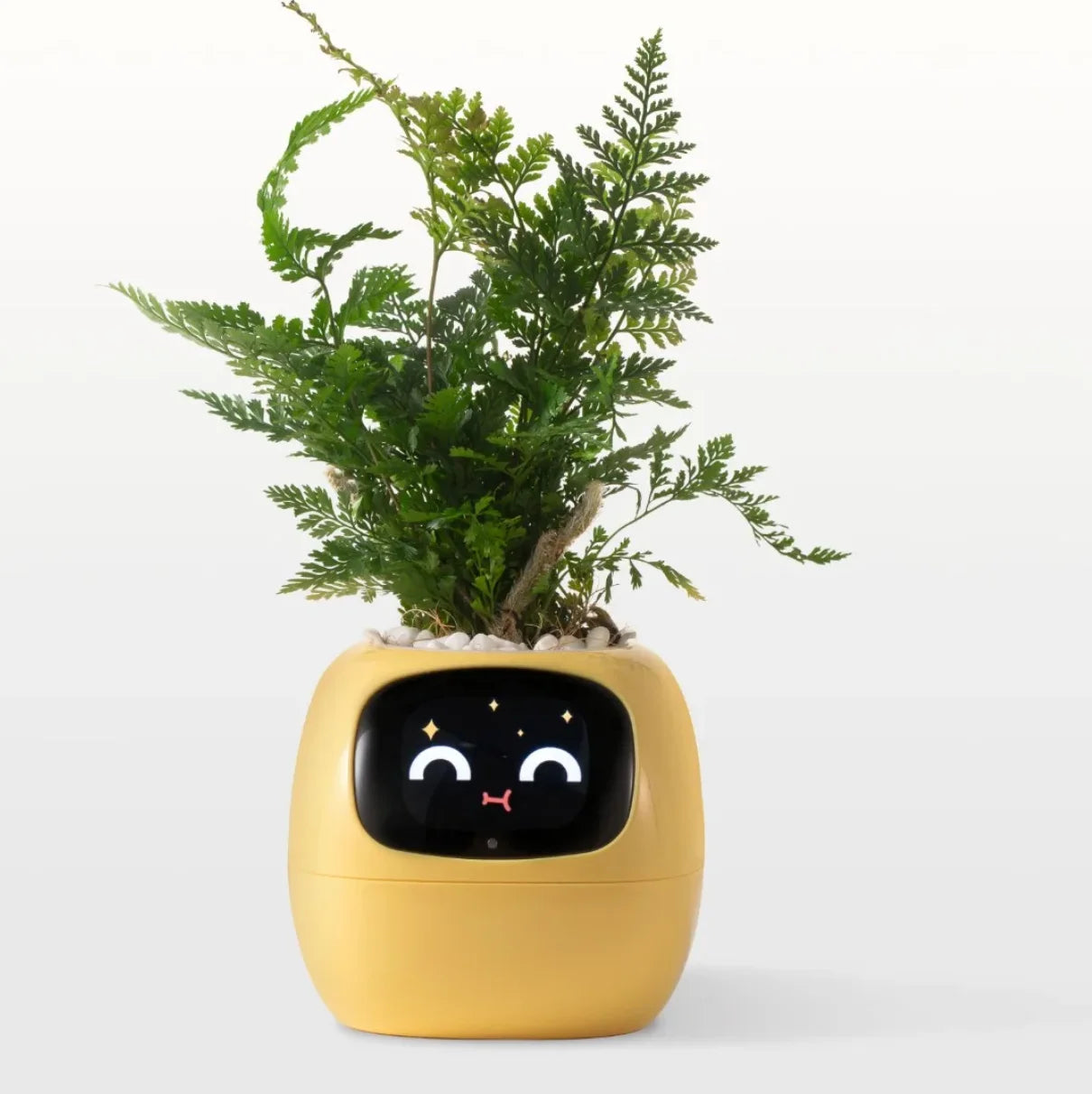 IVYBot: Smart Planter with AI