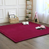 Products Pro Red / 2.6 x 6.6 ft CozeeMat - Thick Tatami Coral Fleece Flannel Mat 23930074-2-80cm-200cm