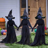 Products Pro WitchCrow - Halloween Witch Coven Decoration Set 47537145-a-united-states